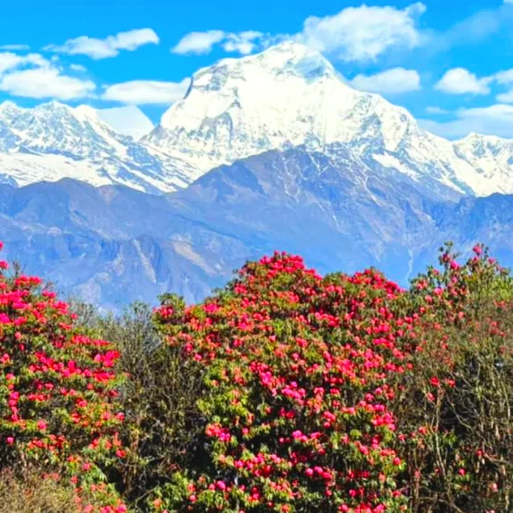 Khopra danda trekking trail and panoramic himalayan view during the trek nepal