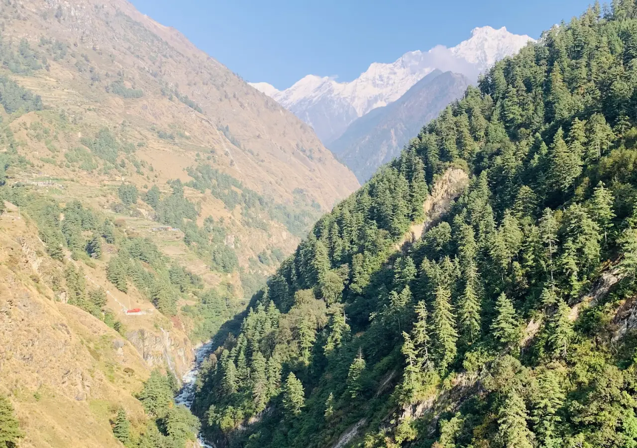 Tsum Valley Trail with snowcapped peak with green valley around