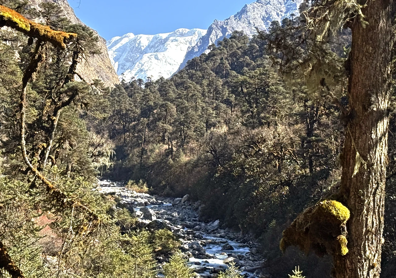 Kanchenjunga Circuit Trek Nepal and Himalayan Peaks in the Background