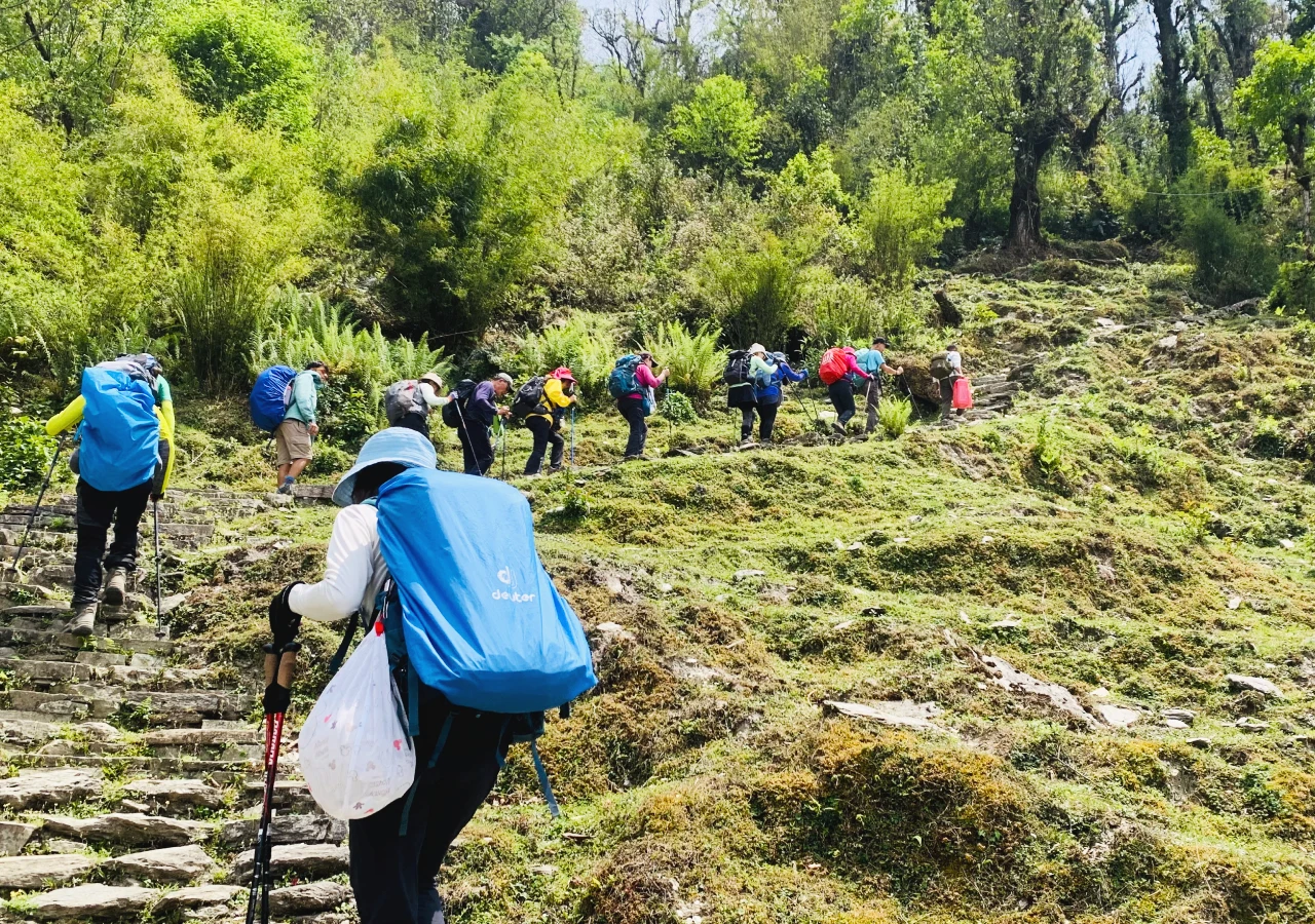 Trekkers Hiking on Mardi Himal Trekking Trail Nepal