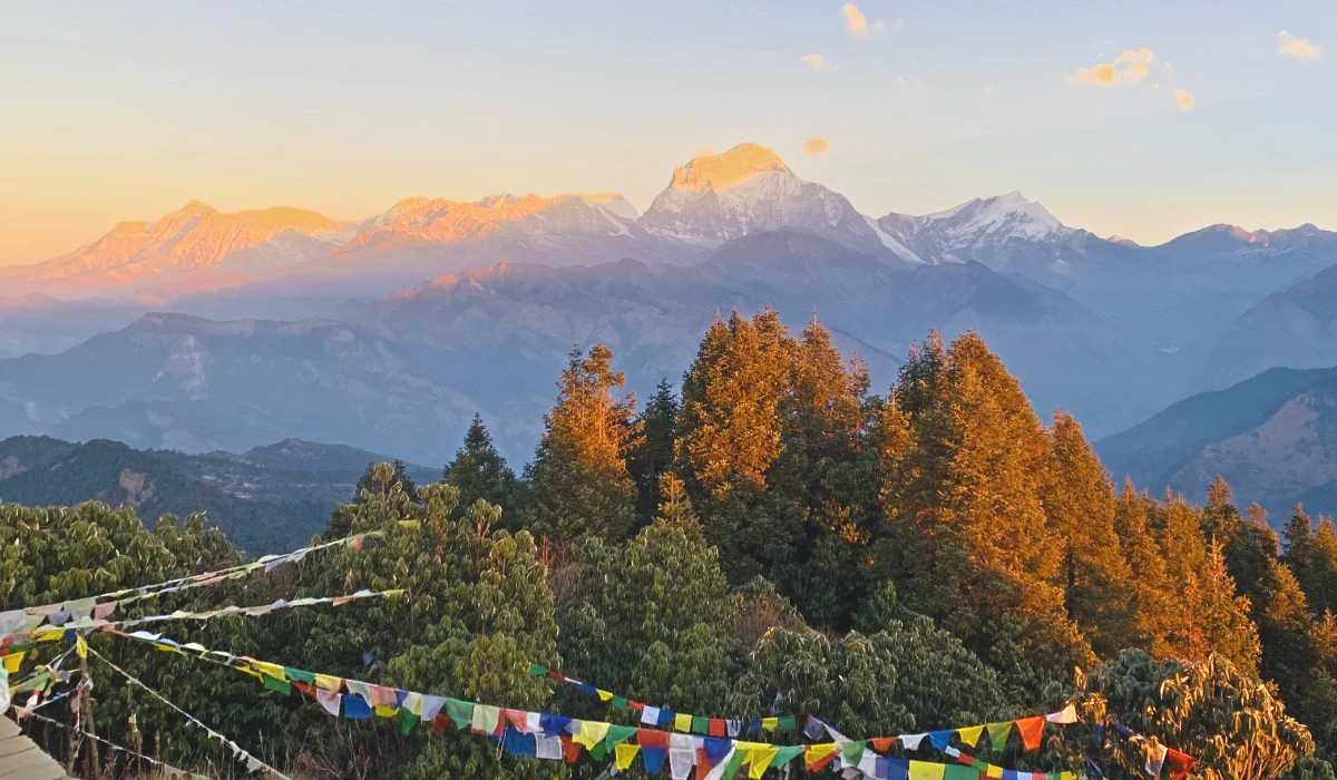Short beginner friendly poonhill trek nepal with spectacular mount dhaulagiri and himalayas
