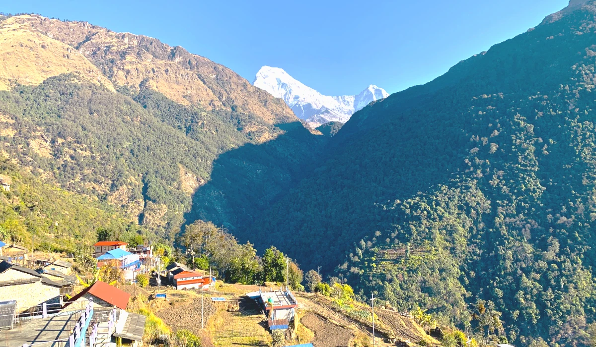 Annapurna mountain view during beginner friendly Annapurna Poonhill Trek