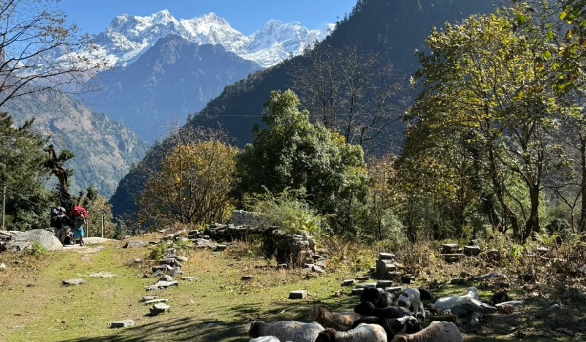 Top summer trekking nepal and annapurna circuit trekking trail