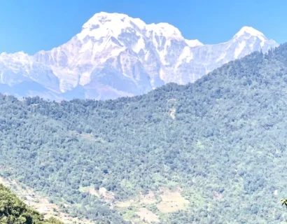 Mount Annapurna South Seen along the Annapurna Panorama Trek Trail Nepal