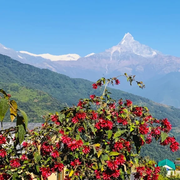 Nepal adventure tour exploration and panoramic annapurna mountain view from australian camp