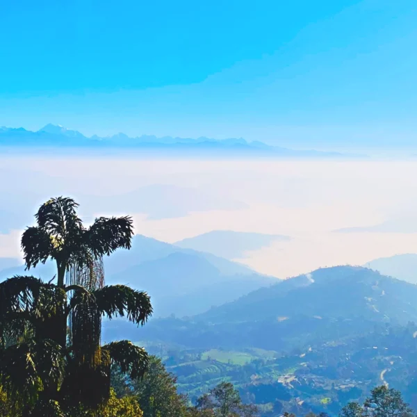 Beautiful landscape during chisapani nagarkot hiking nepal and snow capped mountain