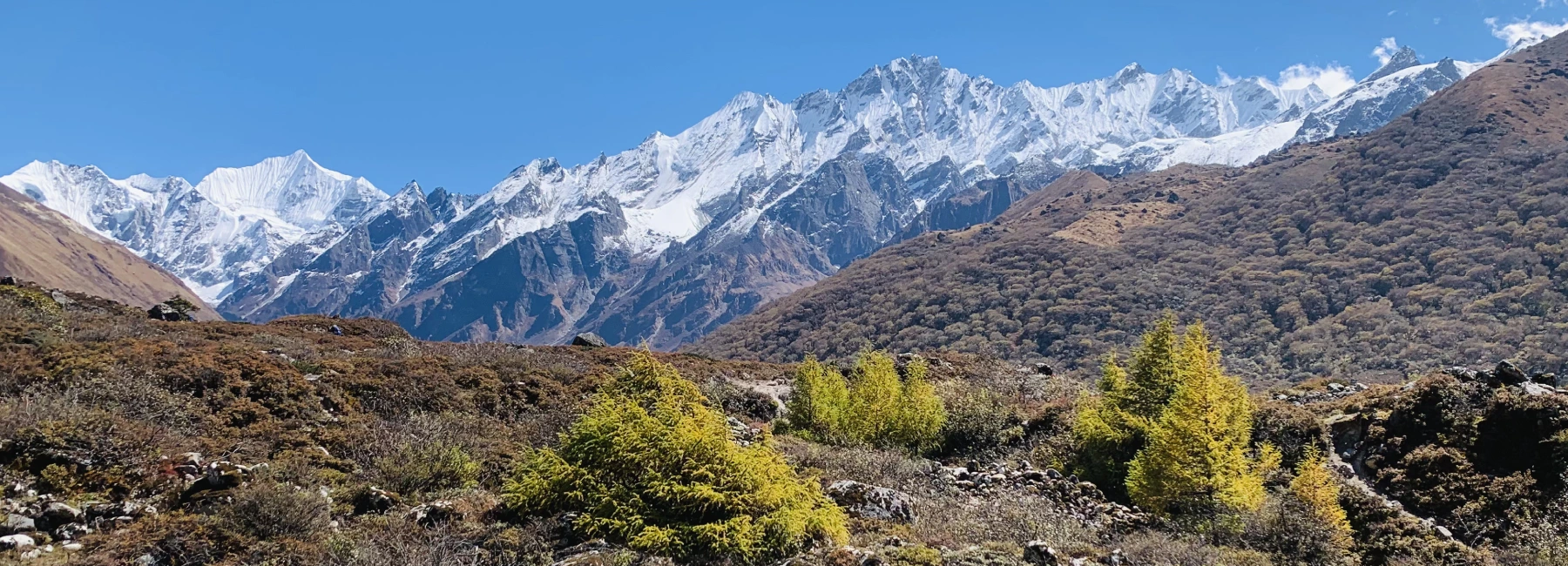Langtang region nepal trekking trail with panoramic himalayas
