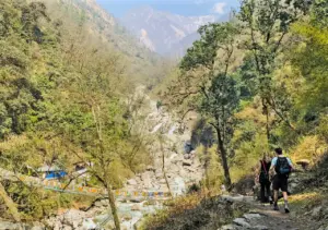 Suspension bridge in Langtang National Park on the trail to Short Langtang Valley Trek
